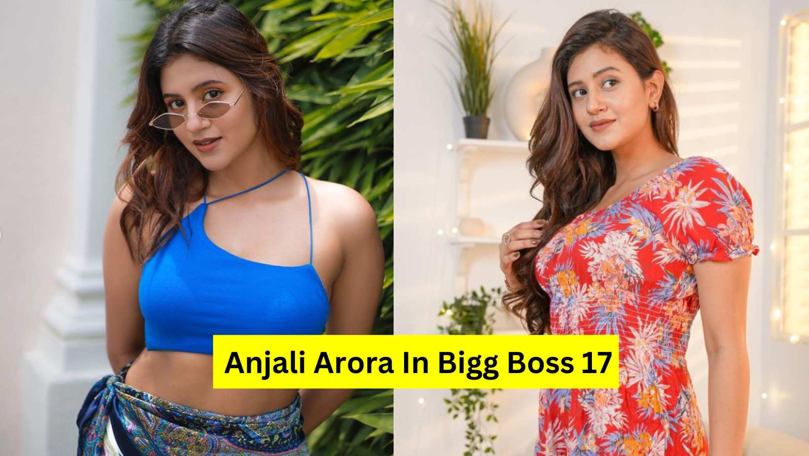 Anjali Arora In Bigg Boss 17